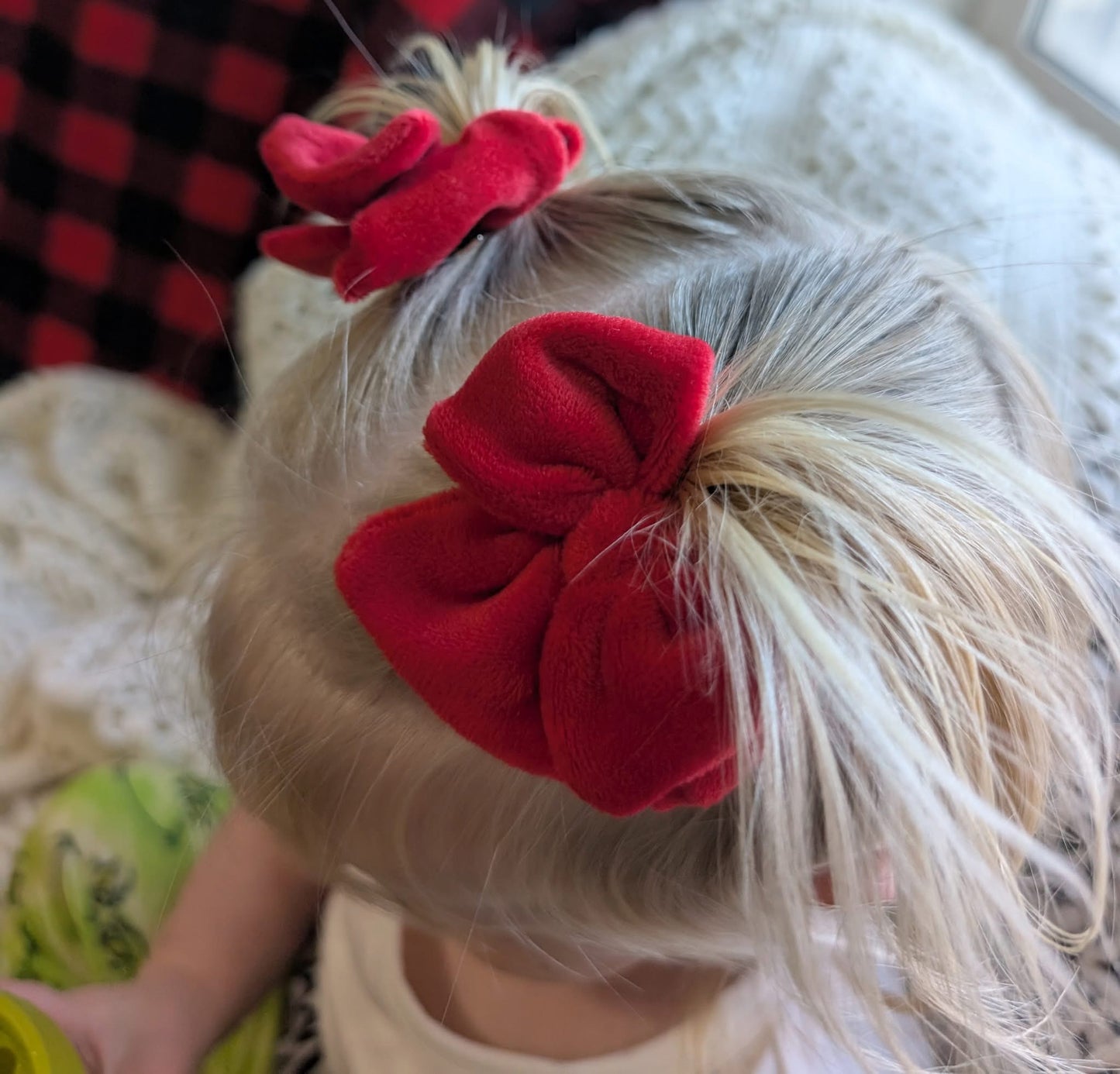 Winter berry velvet