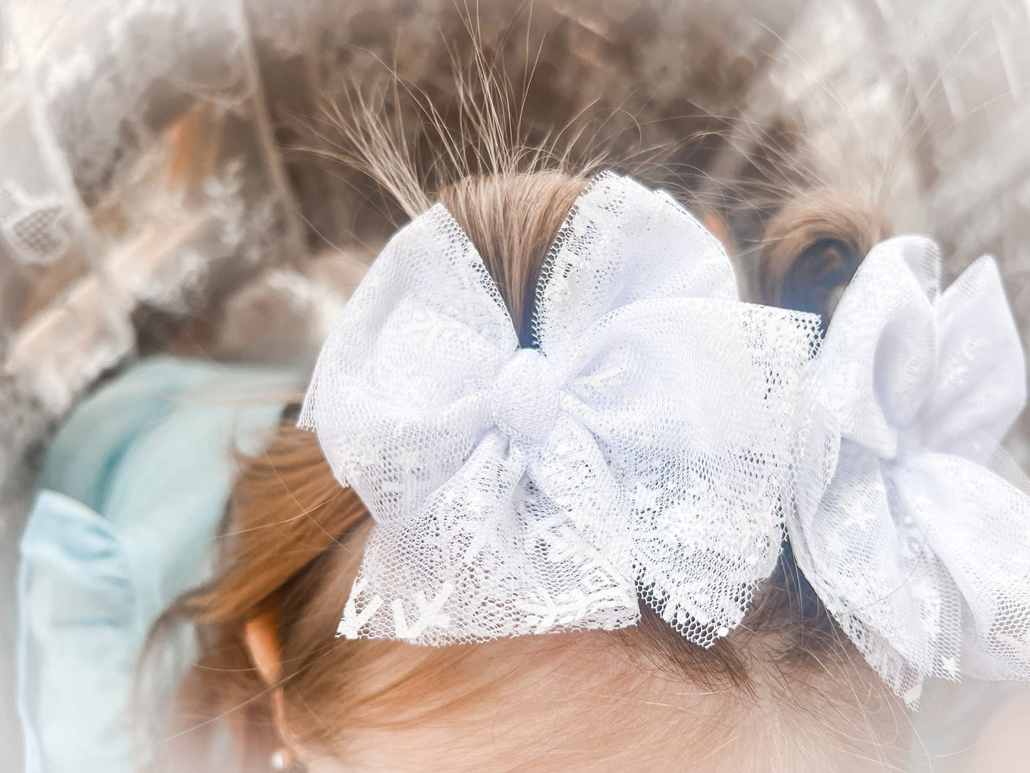 Arendelle collection