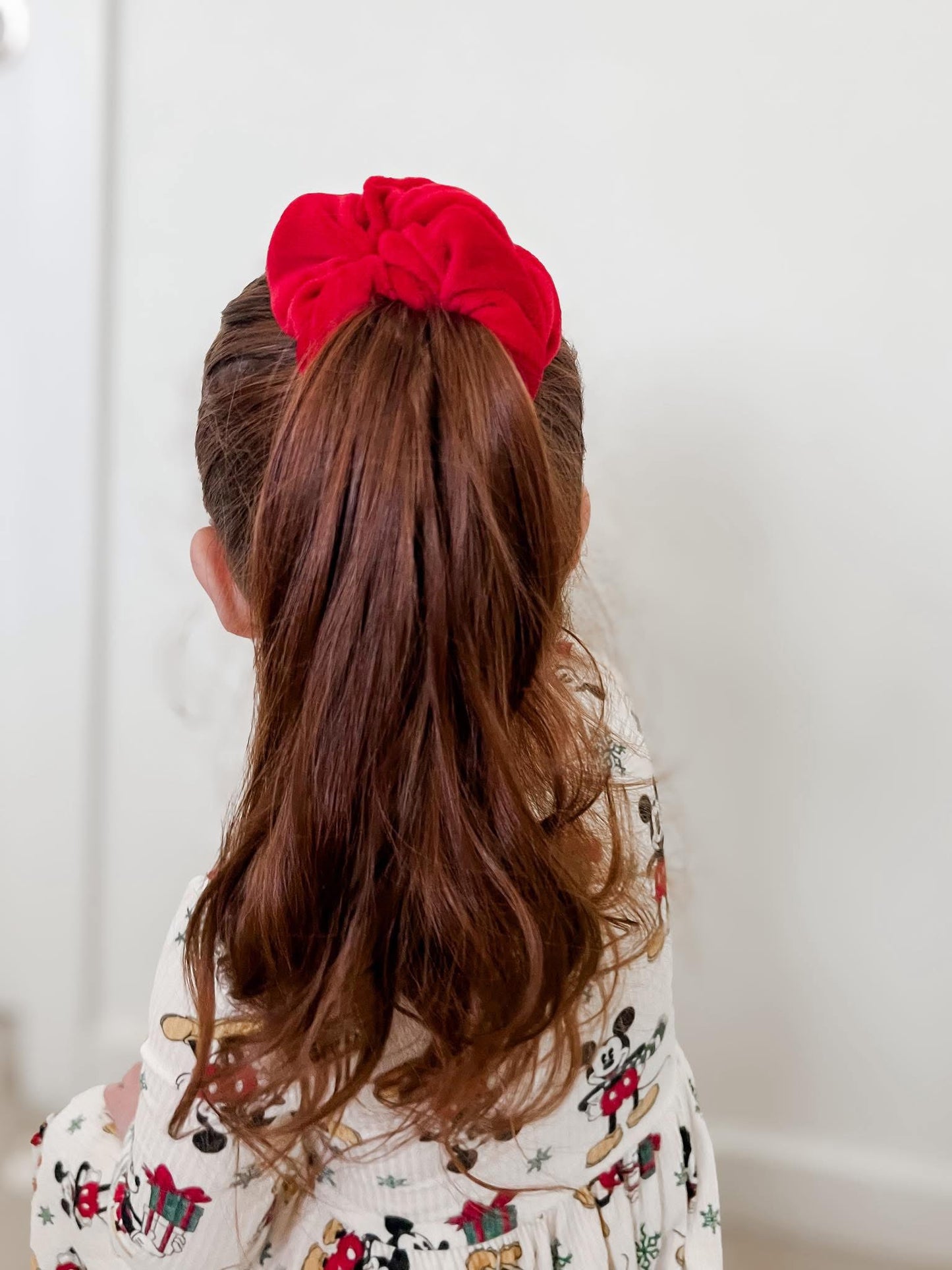 Winter berry velvet