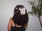 Wild Ivory