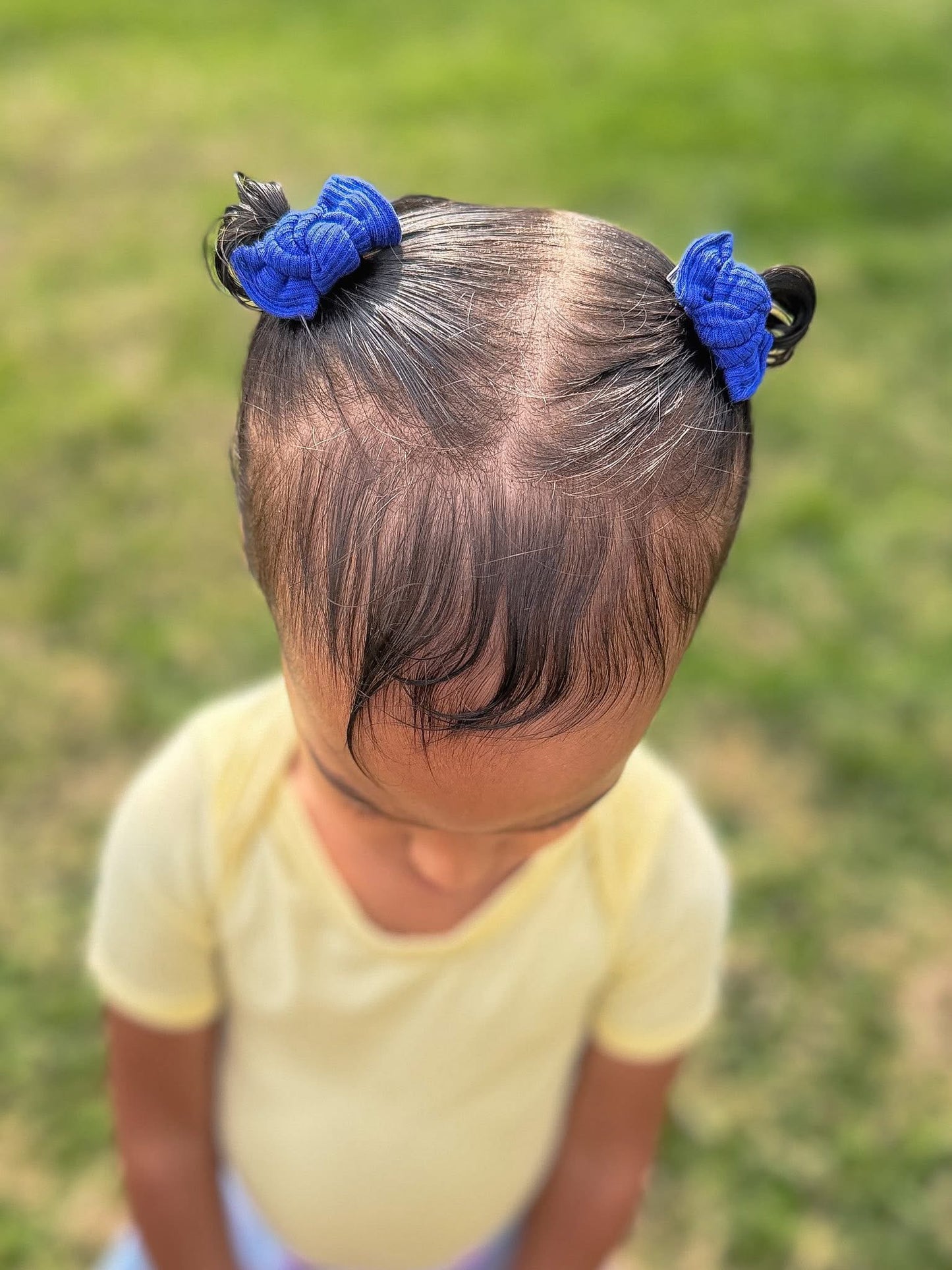 Royal blue rib